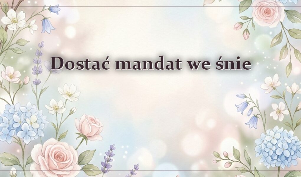 Dostać mandat we śnie – gdy kara jest wypisana na ciebie